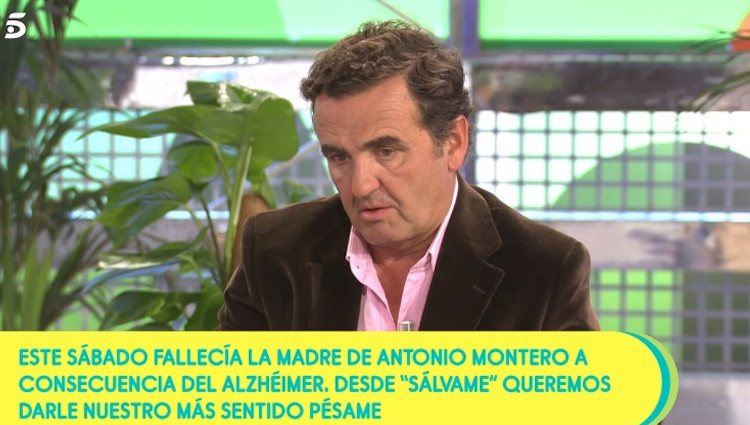 Antonio Montero en 'Sálvame'|Foto: telecinco.es