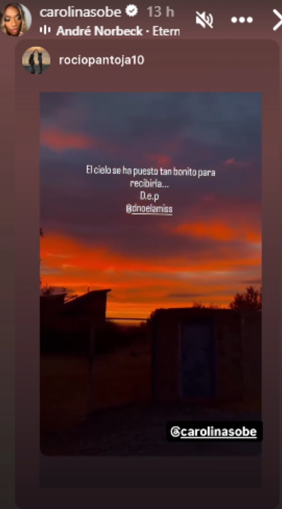 Los seguidores de Dnoé Lamiss la despiden en las redes sociales | Foto: Instagram 