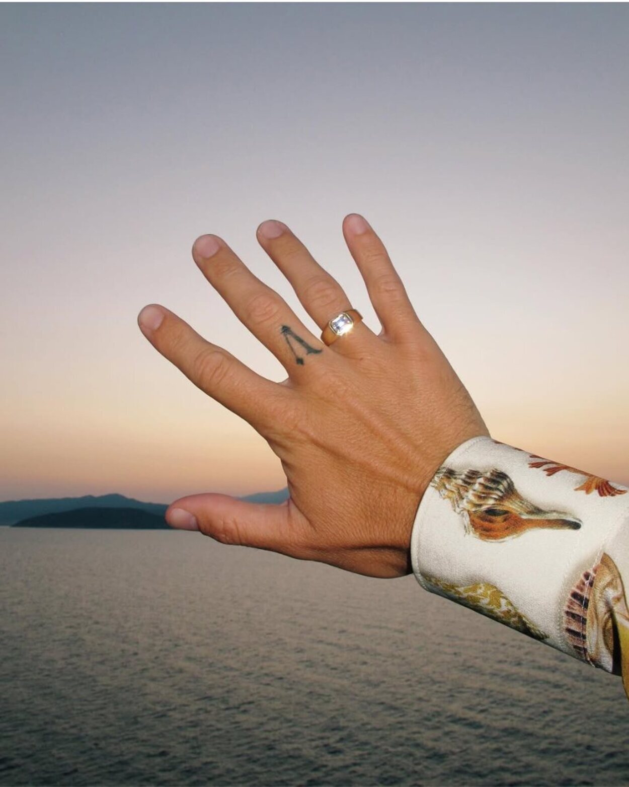 Pelayo Díaz mostrando el anillo de compromiso | Foto: instagram