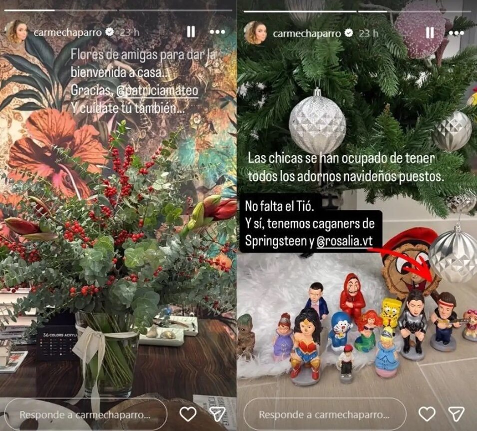 Came Chaparro anunciando vía stories que ya está en casa | foto: Instagram