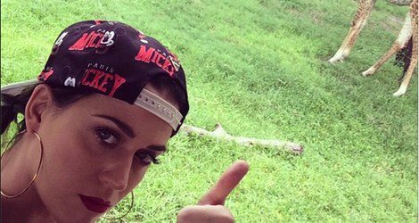 Katy Perry disfrutando del zoológico de Florida/Instagram