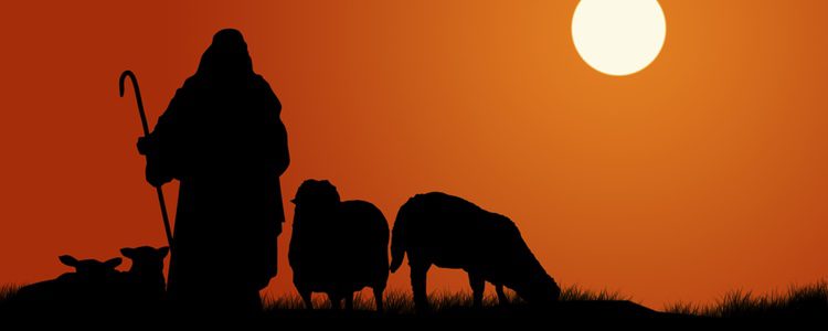 Los pastores y sus ovejas nunca faltan en el portal de Belén, así que en el viviente no los dejes fuera