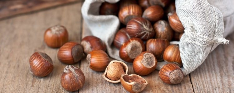 Aprovecha que las castañas están de temporada para marcar el camino de la ruta