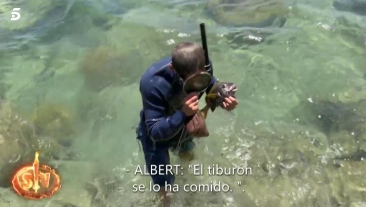 Albert luchando contra el tiburón/Foto: telecinco.es