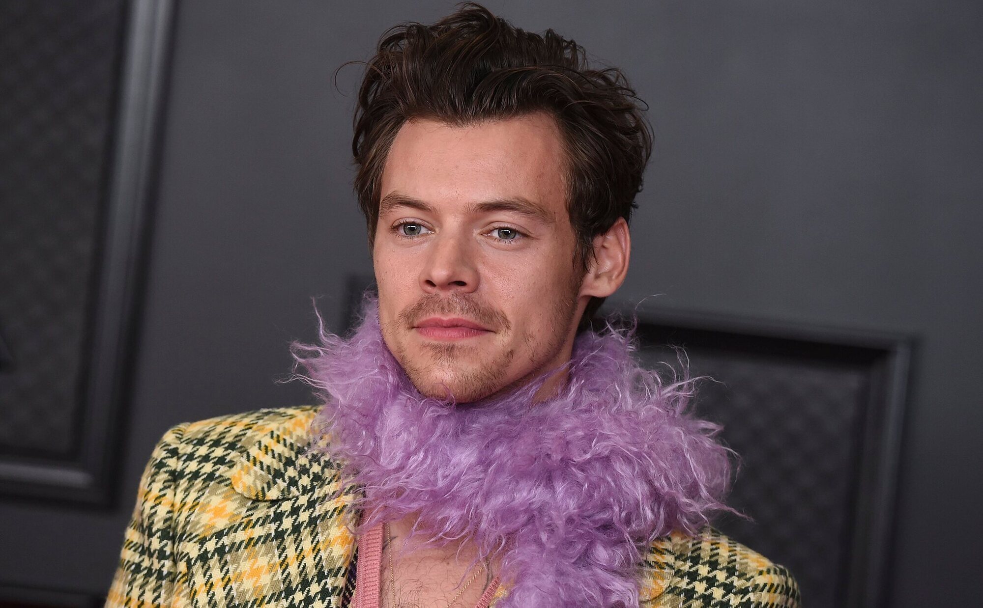 Harry Styles factura 14 millones de euros con sus juguetes para adultos