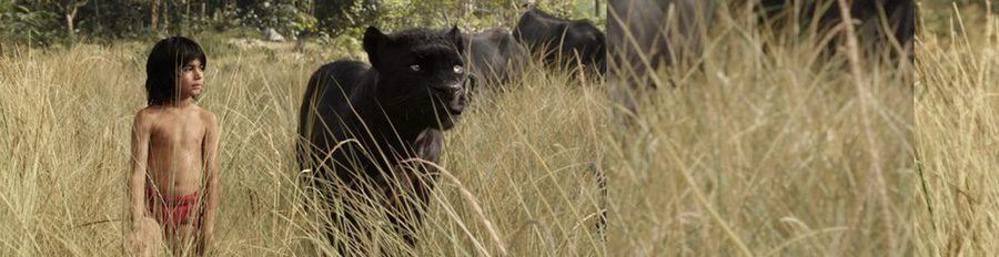 Disney recupera 'El libro de la selva' en acción real y Óscar Jaenada protagoniza 'Cantinflas'