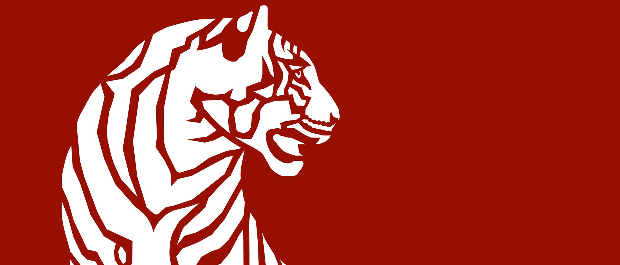 El Tigre del Horóscopo chino: fechas, carácter y características