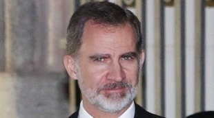 El Rey Felipe pone la Guardia Real a disposición del Ministerio de Defensa