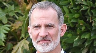 El plan fuera de agenda de Felipe VI que demuestra que tiene buenas amistades