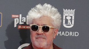 Almodóvar y su novio posan juntos por primera vez