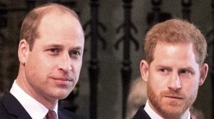 Harry abandona la fundación que fundó con su hermano