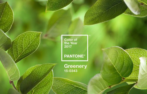 Color del año 2017 'Greenery' para Pantone