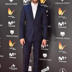 Luis Fernández en la alfombra roja de los Premios Feroz 2017