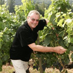 Enrique de Dinamarca con sus viñedos