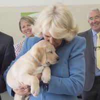 Camilla Parker con un cachorro de labrador llamado Gretel