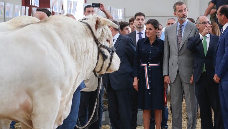 Los Reyes Felipe y Letizia en la Feria Agropecuaria de Salamanca y la exposición de Ganado Puro