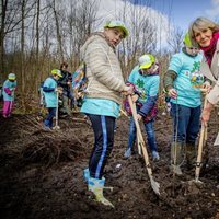 Irene de Holanda plantando un árbol durante un acto público