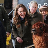 Kate Middleton con una alpaca en una granja en Irlanda del Norte