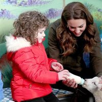 Kate Middleton da el biberón a una oveja en una granja en Irlanda del Norte