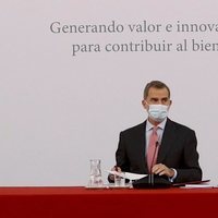 El Rey Felipe en la XXXI sesión ordinaria del Patronato de la Fundación Carolina