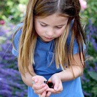 La Princesa Carlota contemplando una mariposa
