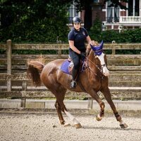 Amalia de Holanda con su caballo Mojito