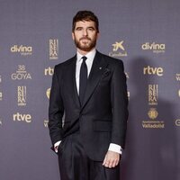 Alfonso Bassave, en la alfombra roja de los Premios Goya 2024