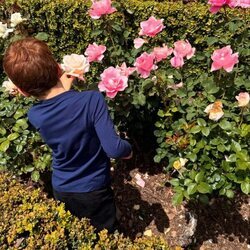 El Príncipe Archie cogiendo rosas en su jardín
