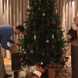Los Reyes Felipe y Letizia y sus hijas con el árbol de Navidad en la primera Navidad de la Infanta Sofía