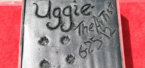 Las huellas de Uggie en el Teatro Chino de Los Ángeles
