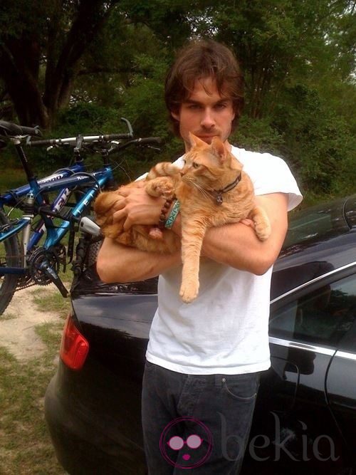 Ian Somerhalder encuentra a su gatito perdido