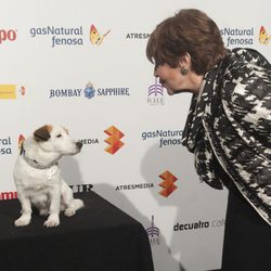 Concha Velasco con Pancho en la presentación del Festival de Málaga 2014