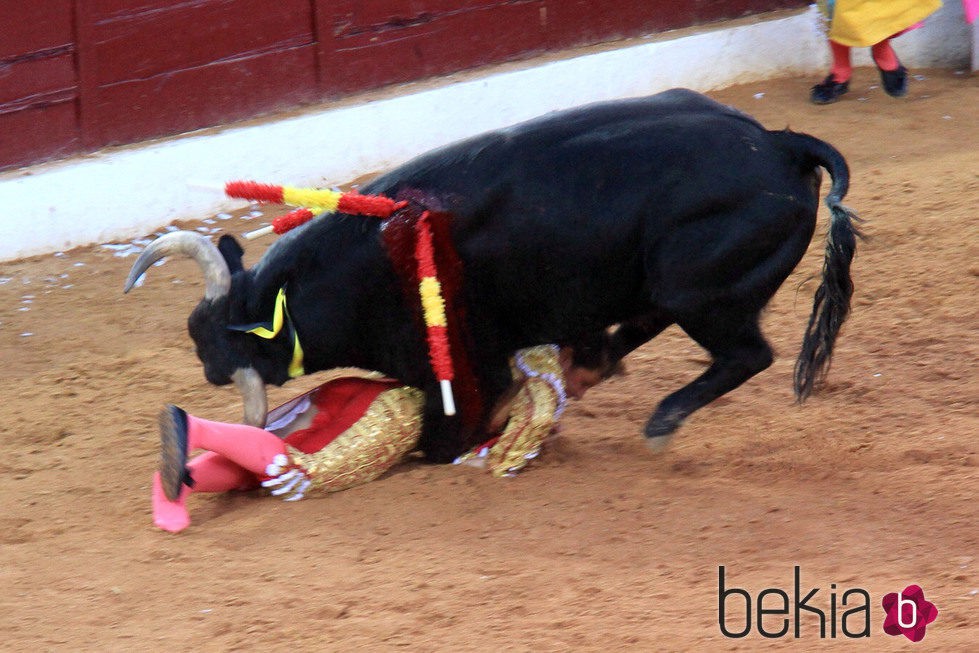 Fran Rivera, corneado en su reaparición en Olivenza