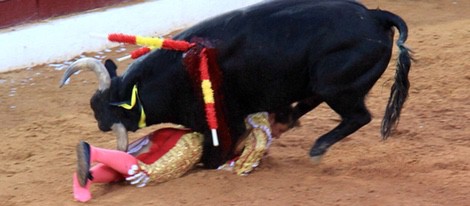 Fran Rivera, corneado en su reaparición en Olivenza