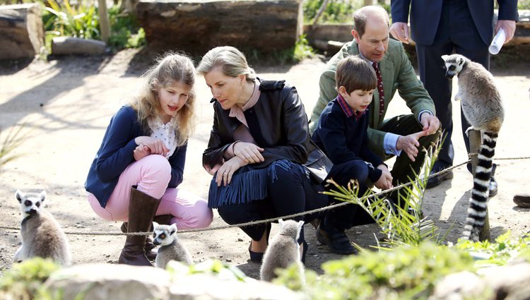 Los Condes de Wessex con sus hijos Louise y James en el zoo de Bristol
