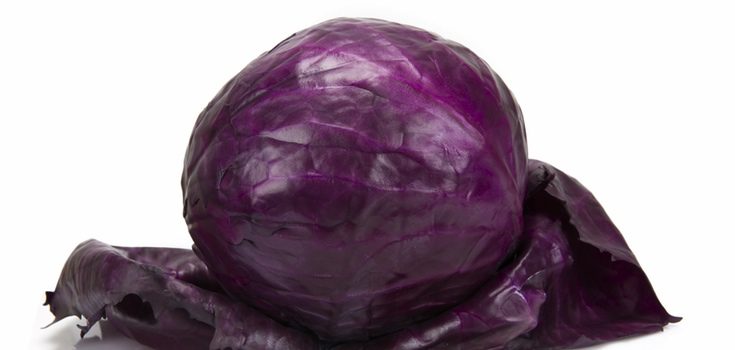 Lombarda antes de lavar y trocear