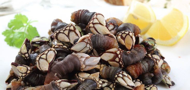 Sirve los percebes con un trozo de limón