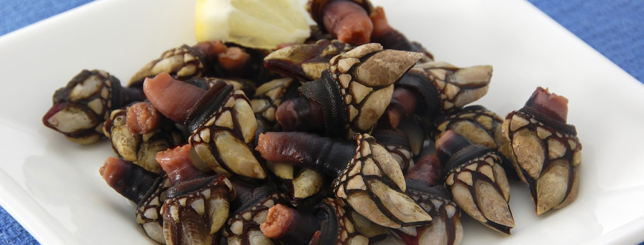 Entrantes de Navidad: Percebes cocidos