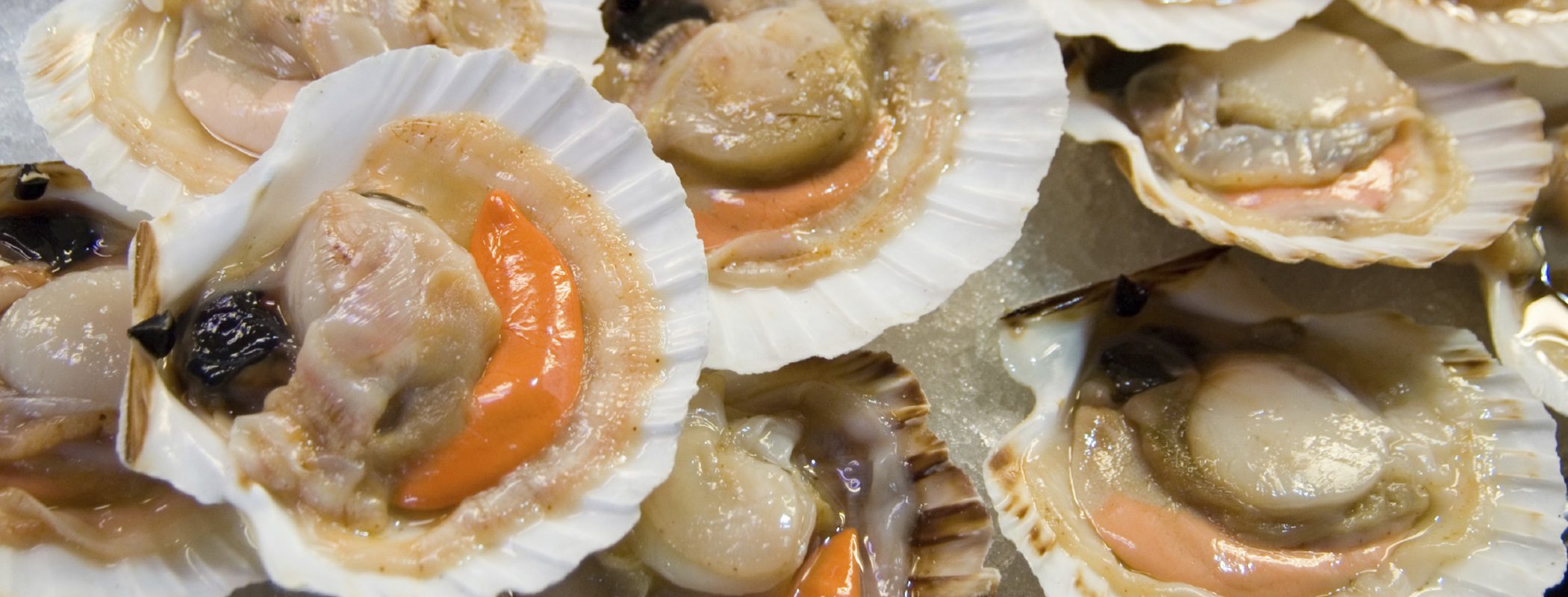 Entrantes de Navidad: Vieiras a la gallega