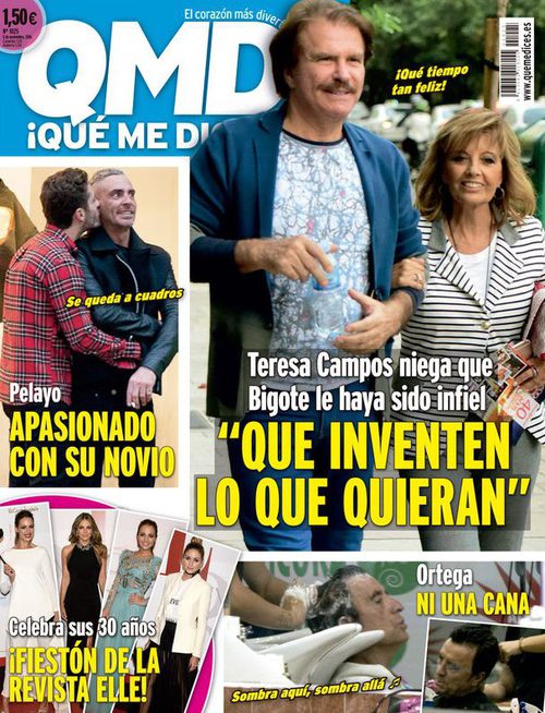 QMD! pilla a Pelayo Díaz muy apasionado con su novio