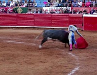 La agridulce reaparición de Fran Rivera como torero en México