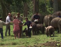 Los Duques de Cambridge dan el biberón a elefantes y rinocerontes en La India