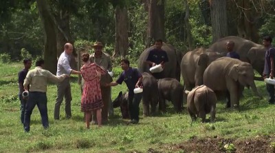 Los Duques de Cambridge dan el biberón a elefantes y rinocerontes en La India