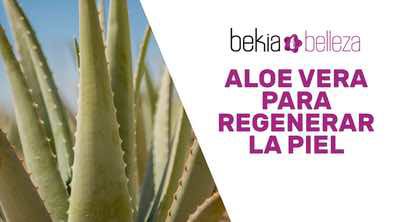 El poder regenerador del aloe vera para la piel