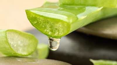 Aloe vera para combatir la psoriasis