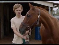 Trailer oficial de 'Lean on Pete'