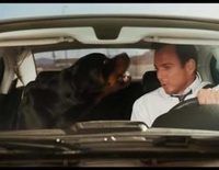 Trailer oficial de 'Superagente canino'
