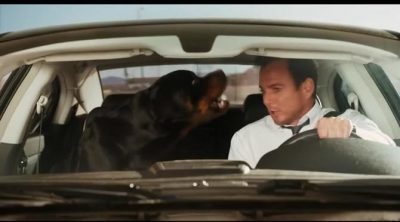 Trailer oficial de 'Superagente canino'