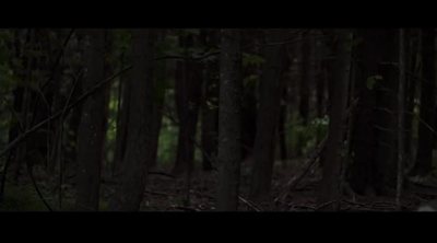 Trailer oficial de 'Slender man'