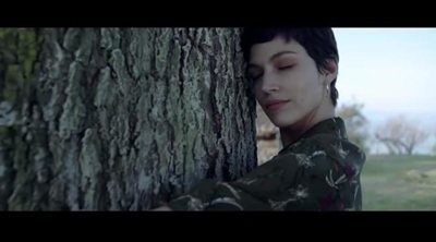 Trailer oficial de 'El árbol de sangre'